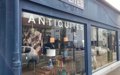 Exposition chez Les Insolites à Nantes : Rendez-vous les 12 et 13 octobre 2024 !