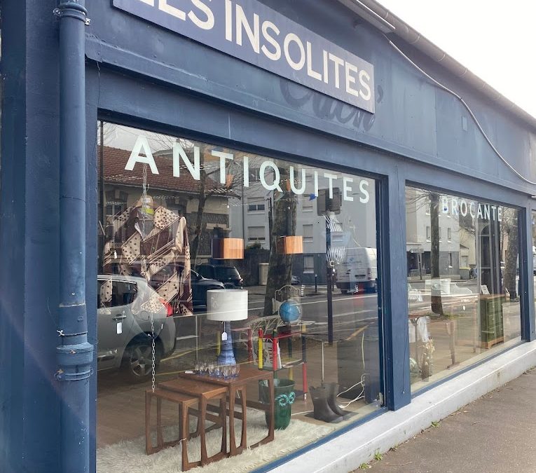 Exposition chez Les Insolites à Nantes : Rendez-vous les 12 et 13 octobre 2024 !